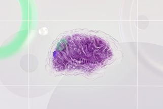 600 milionů let evoluce dalo mozku obrovskou výhodu. AI ji zatím nedokáže napodobit